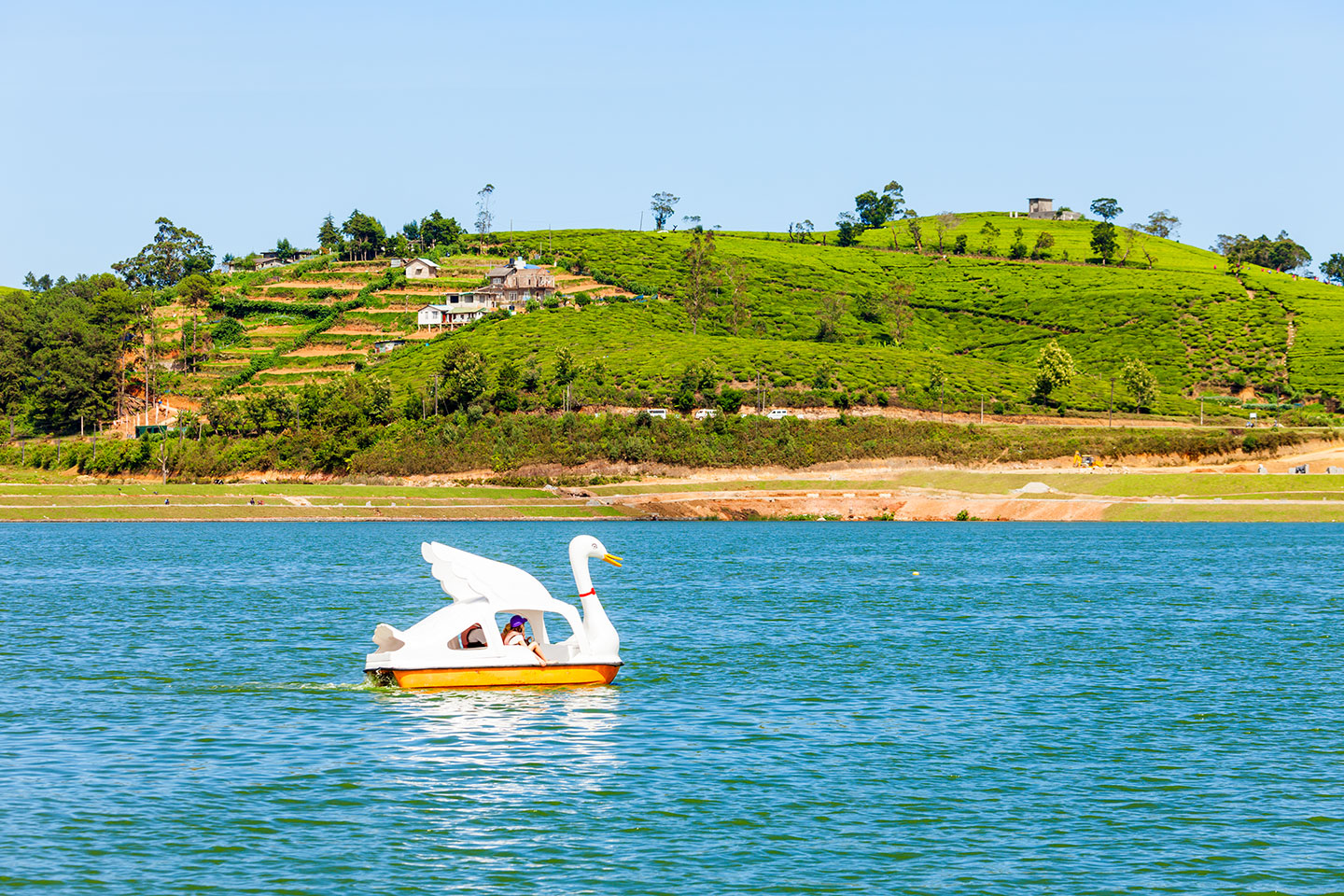 gregorylake The Island Insider